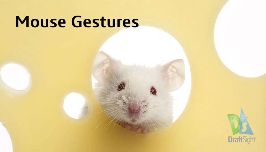 DraftSight Short-cut: Mouse Gestures
