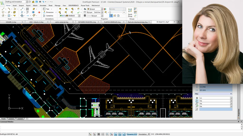 Lynn Allen Talks DraftSight