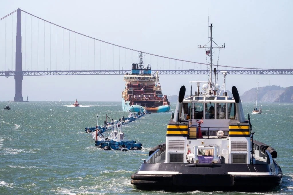 My Very Little Part in the Largest Ocean Cleanup in History