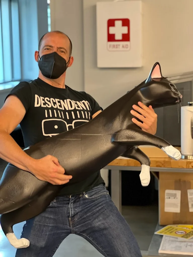 Catch 3D Mold Creator in Action