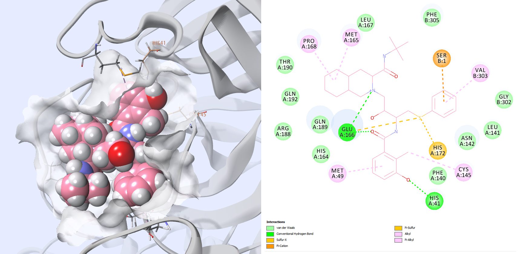 Figure 10: 3D view video and 2D interaction map of Nelfinavir with SARS-CoV-2 protease