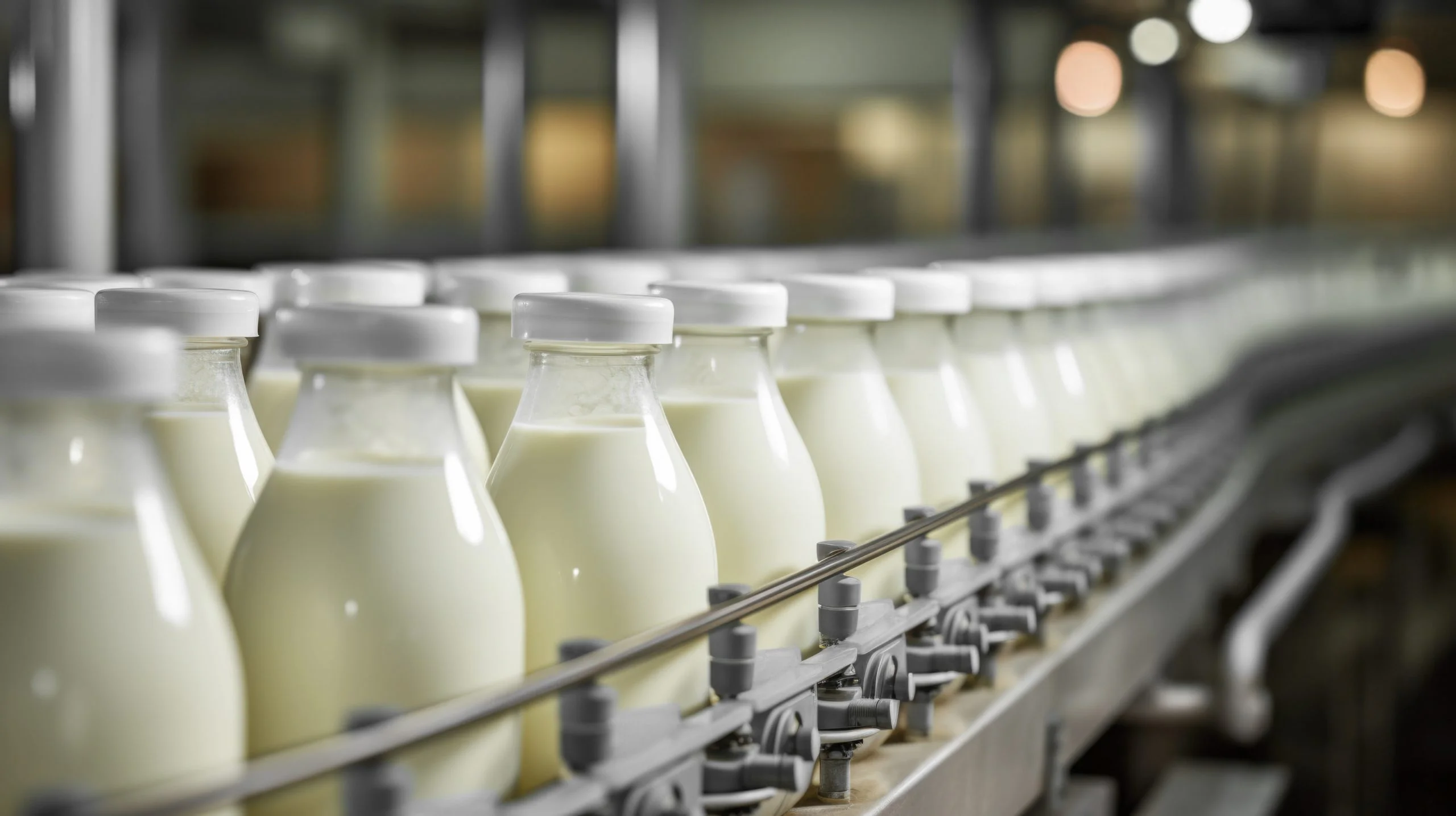 The systematic operation of milk production in a factory, emphasizing the precision and technology involved in the process